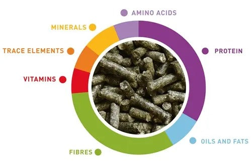 Padovan food for young dwarf rabbits with balanced nutrients including proteins, vitamins, and minerals
