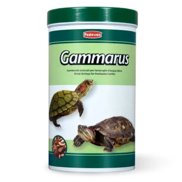 Padovan Gammarus turtle food in a container with images of turtles for freshwater turtle nutrition