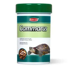 Padovan Gammarus pet food jar with teal label and white lid