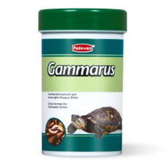 Padovan Gammarus turtle food in a container designed for freshwater turtles