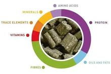 Guinea pig diet pellets shown in ingredient chart with protein, vitamins, fibres