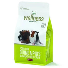 Guinea pig veterinary diet food bag, green and white, front with guinea pig graphic
