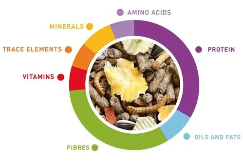Nutritional breakdown of Padovan hamster food 1kg showing ingredients like vitamins, proteins, and fibers