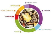 Hamster food nutrition chart with protein, vitamins, fibres, oils and fats