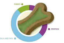 Bone-shaped dog biscuit in green on a nutrition-style chart illustration
