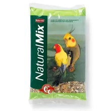 Parakeet seed mix bag with colorful parakeets on front