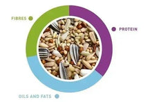 Parakeet seed mix ingredient graphic showing seeds with protein and fibres labels
