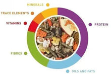 Cavy nutrition infographic with labeled segments for minerals, trace elements, vitamins, protein