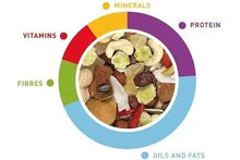 Parrot food ingredient mix infographic circle with vitamins, minerals, protein labels