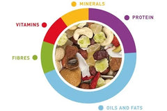 Nutritional breakdown of Padovan Premium parrot food with vitamins, minerals, and proteins