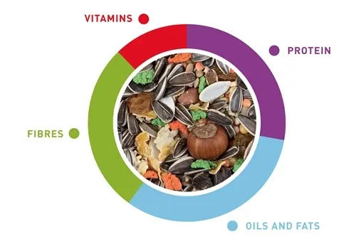 Padovan squirrel food mix 750g with vitamins, protein, fibers, and healthy oils for small animals