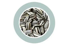 Sunflower seeds in a circular view, silver-toned seed kernels