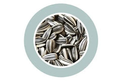 Padovan Sunseeds 500g for birds with rich nutrients, ideal for healthy bird diets