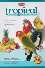 Padovan tropical patee bird food package with colorful parrots and pineapple, 700 g