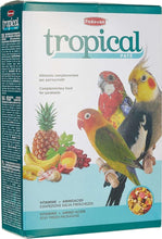 Padovan tropical patee bird food box with three parrots and fruit, 700 g