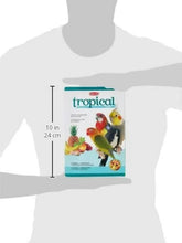 Tropical bird pâté food box on torso, size marks 10 cm and 24 cm