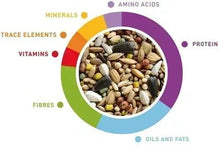Lovebirds diet ingredient composition chart with mixed seed and grains in circle