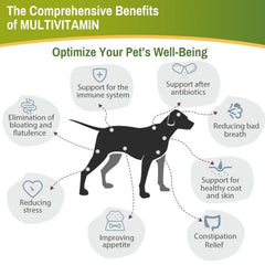 Comprehensive benefits of Mumzar pet multivitamin drops UAE for optimizing your pet's well-being