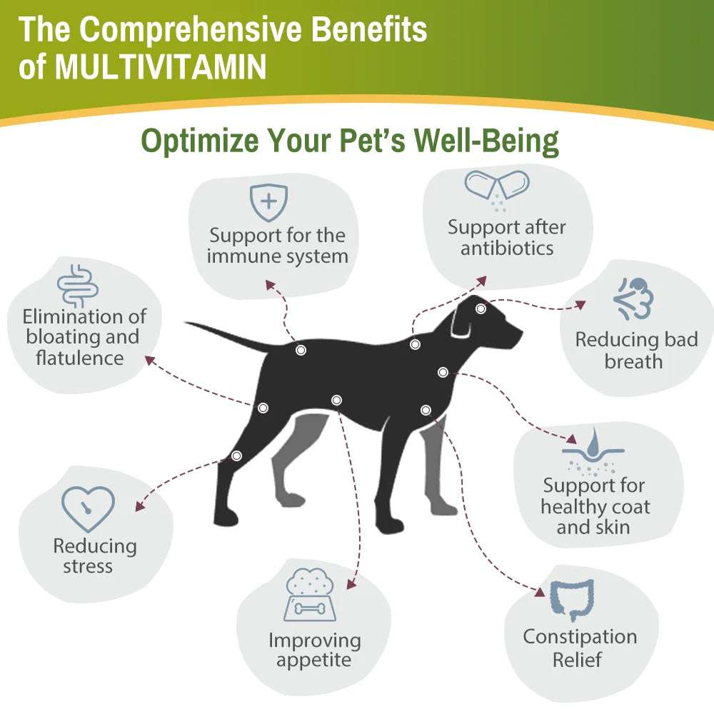 Mumzar pet multivitamin drops UAE infographic highlighting benefits for pet well-being