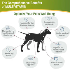 Mumzar pet multivitamin drops UAE infographic highlighting benefits for pet well-being