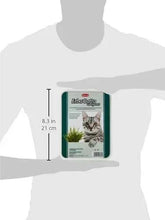 Cat grass tray shown with size 8.3 in (21 cm) and cat label