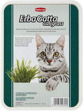 Padovan ErbaGatta cat grass tray close-up with cat face and green border