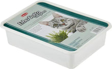 Padovan ErbaGatta cat grass tray with green border and white plastic tub