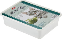 Padovan ErbaGatta cat grass for indoor cats in a container, promoting healthy digestion and play