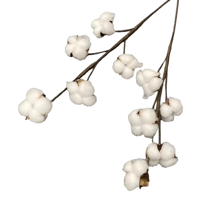 Pack Of 2 Cotton Branch - Natural for Your Decor - White