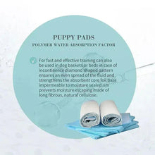 Puppy pad rolls with blue absorbent sheets and circular info graphic