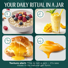 Sea moss gel superfood daily ritual graphic with smoothie, fruit bowls, and gel