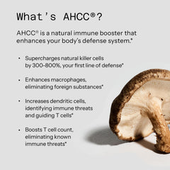 Informational card with shiitake mushroom and bullets explaining AHCC immune support supplement benefits