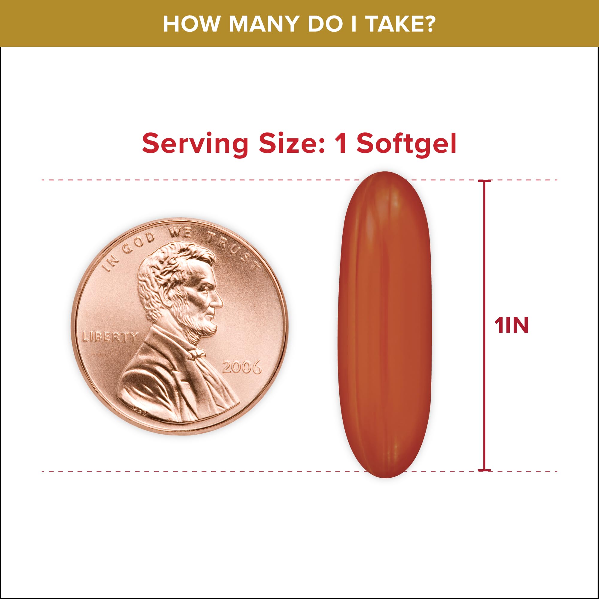 Qunol Ubiquinol CoQ10 200mg softgels. Single brown softgel beside penny showing 1 inch size and serving size