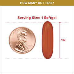 Qunol Ubiquinol CoQ10 200mg softgels. Single brown softgel beside penny showing 1 inch size and serving size