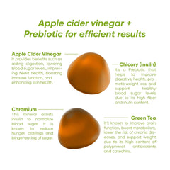 Apple cider vinegar prebiotic supplement gummies with ingredient callouts sugar-free vitamin gummies for weight management