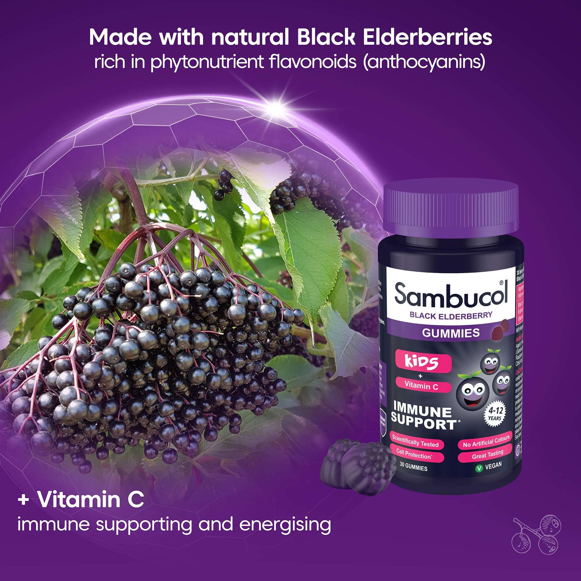 Sambucol black elderberry bottle and fresh elderberries highlighting kids immune support gummies with vitamin C