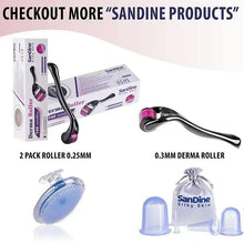 Face derma roller set with two rollers and retail boxes, purple needle drums