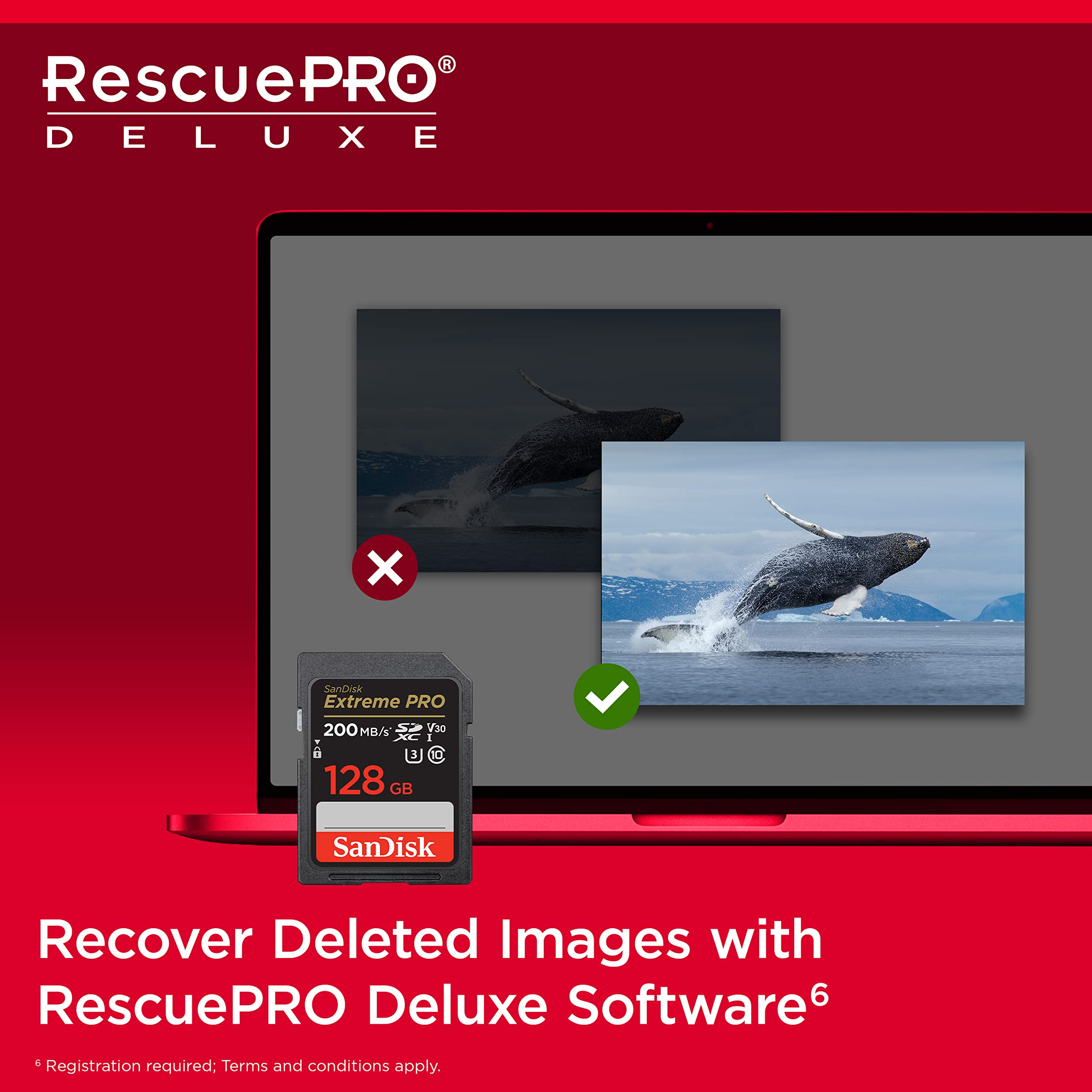 SanDisk 128GB Extreme PRO SD card displayed with RescuePRO Deluxe software on laptop recovering whale images