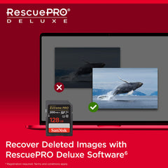 SanDisk 128GB Extreme PRO SD card displayed with RescuePRO Deluxe software on laptop recovering whale images