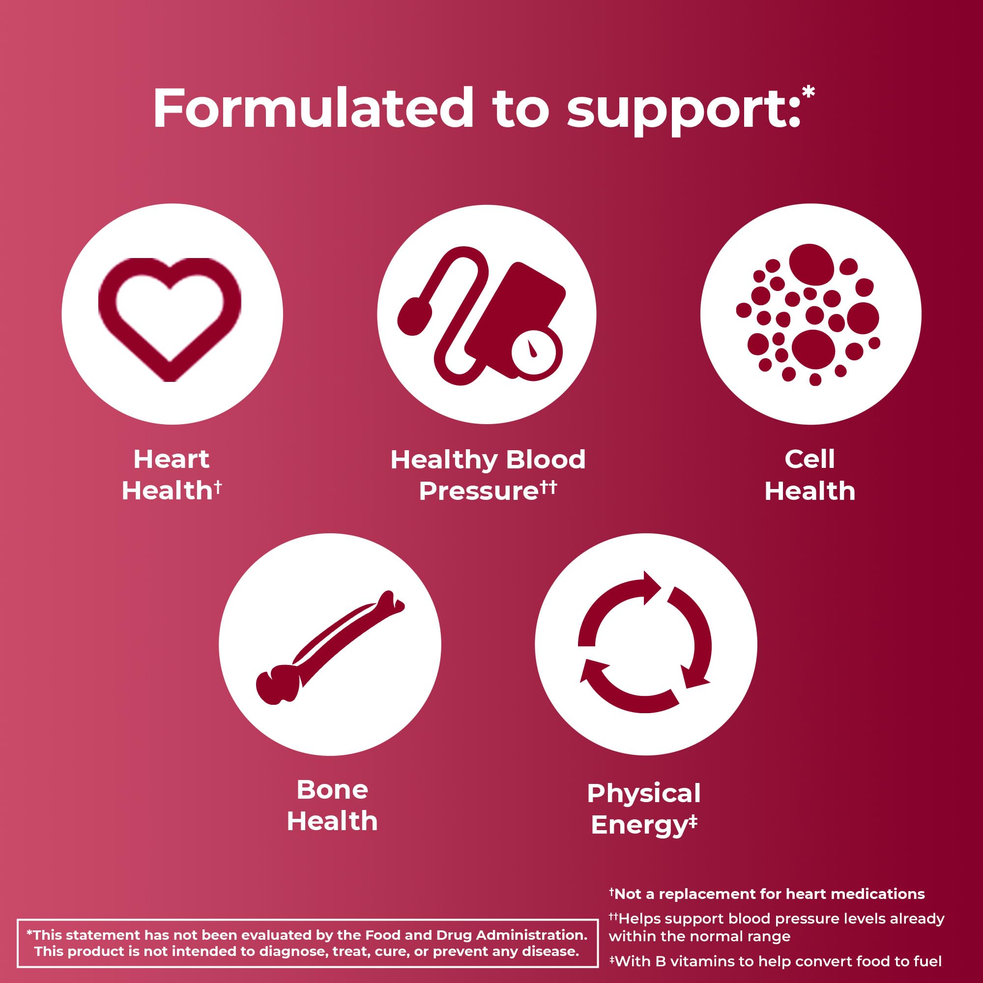 ONE A DAY icons showing heart healthy blood pressure cell bone and physical energy benefits multivitamin supplements for seniors UAE