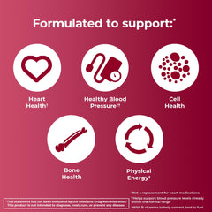 ONE A DAY icons showing heart healthy blood pressure cell bone and physical energy benefits multivitamin supplements for seniors UAE
