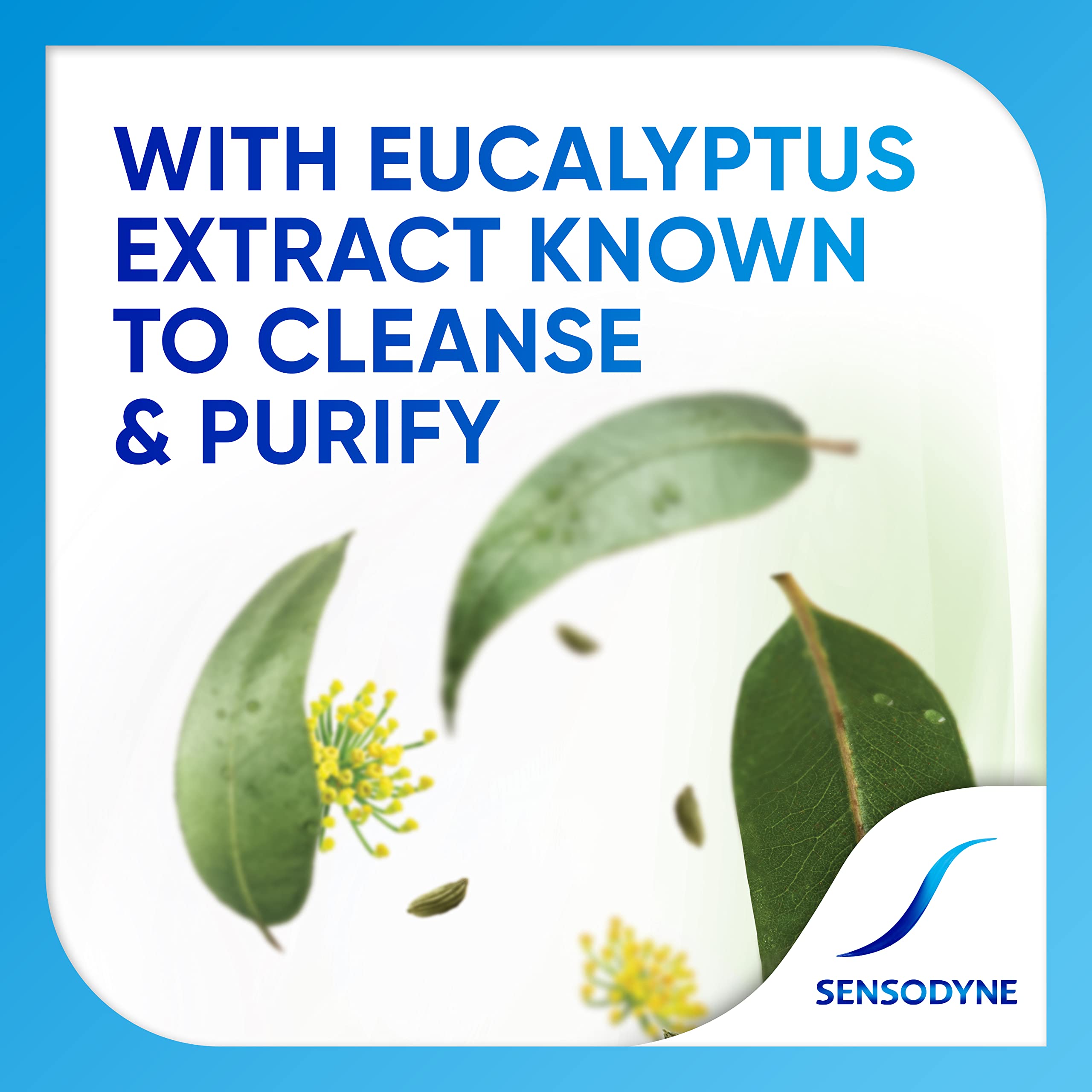 Sensodyne herbal toothpaste for sensitive teeth. Eucalyptus leaves and flowers with Sensodyne logo and cleansing extract.
