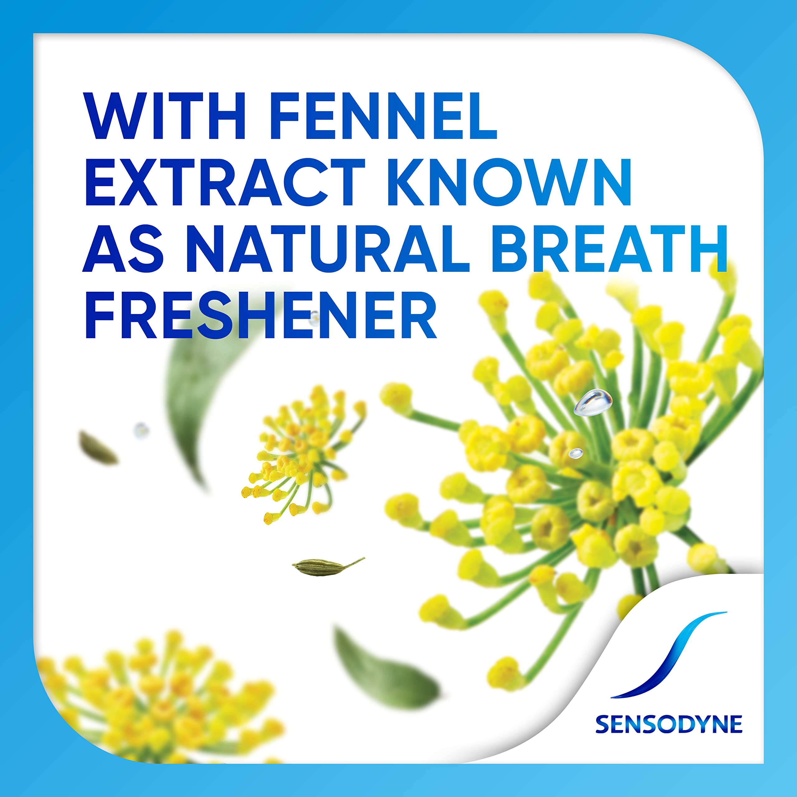 Sensodyne herbal toothpaste for sensitive teeth packaging graphic showing fennel flowers and claim natural breath freshener