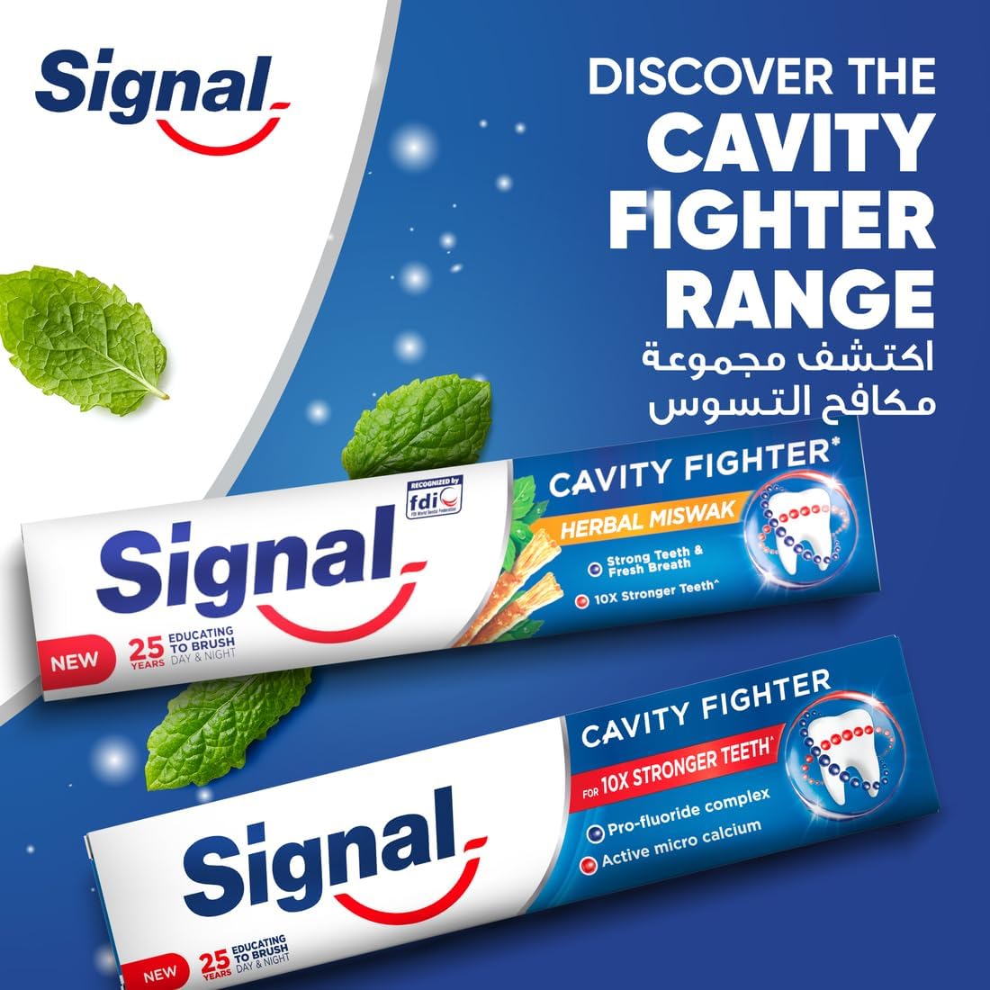 Signal Cavity Fighter toothpaste tubes with mint and herbal miswak packaging fluoride toothpaste for strong teeth