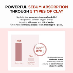 Infographic showing pore minimizing face mask stick reduces sebum by 87 percent with five types of clay