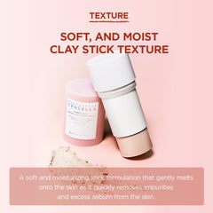 Soft and moist pore minimizing face mask stick with clay texture by SKIN1004 for gentle skin cleansing