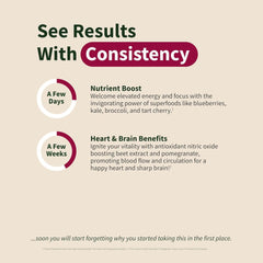 Snap Supplements infographic showing benefits timeline for nitric oxide supplement gummies with nutrient and heart brain claims