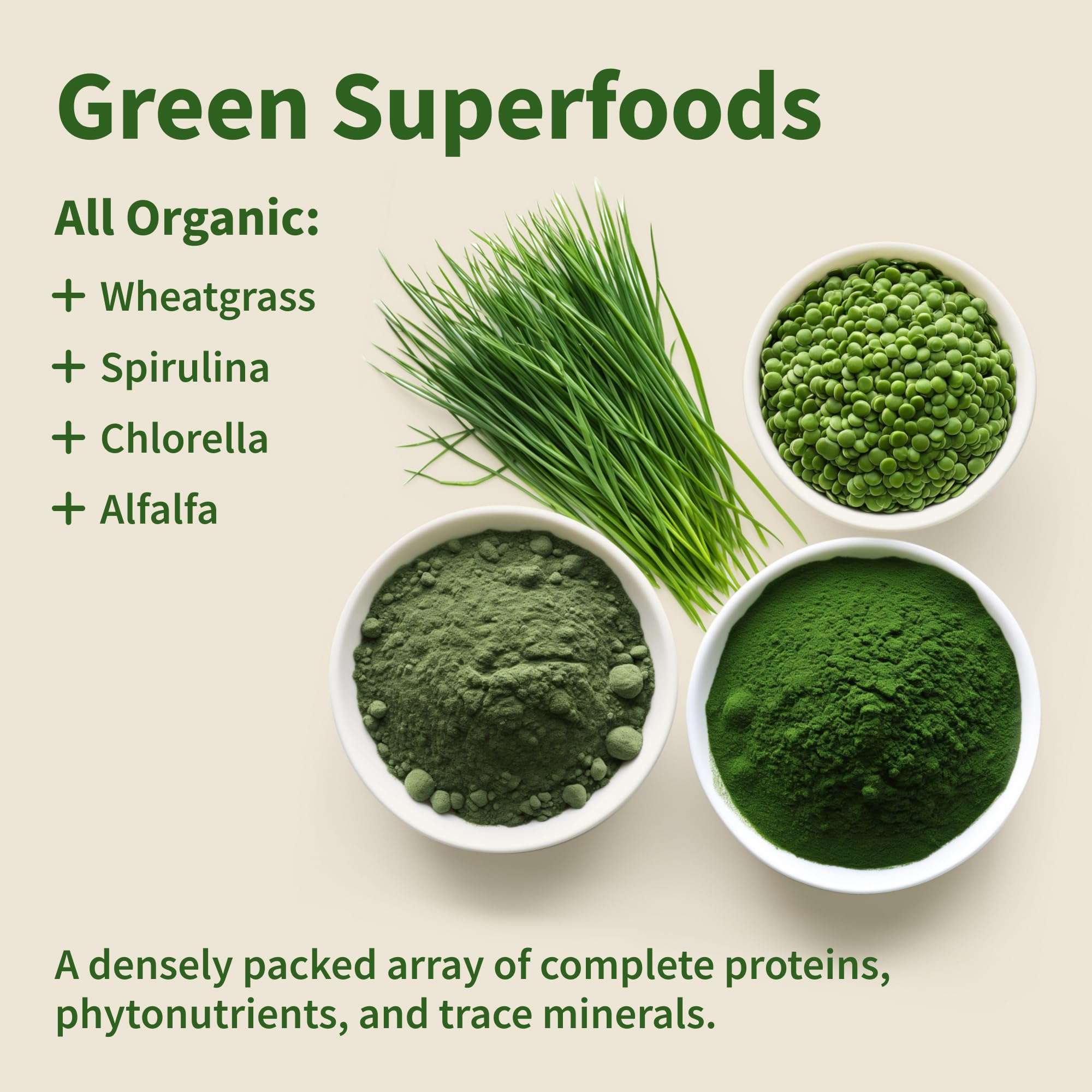 Snap Supplements display of organic chlorella spirulina capsules with green powders pellets and wheatgrass