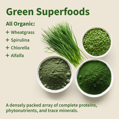 Snap Supplements display of organic chlorella spirulina capsules with green powders pellets and wheatgrass
