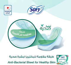 SOFY sanitary pads large with wings anti bacterial sheet for healthy skin pack showing pad and packaging